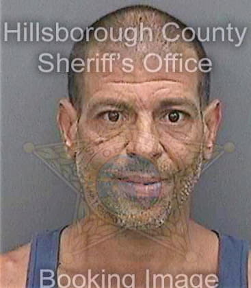 Delvalle Edwardo - Hillsborough County, FL 