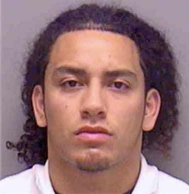 Santiago Roberto - Lee County, FL 