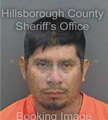 Gonzalez German - Hillsborough County, FL 