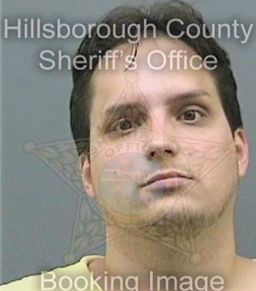 Vicens Allen - Hillsborough County, FL 