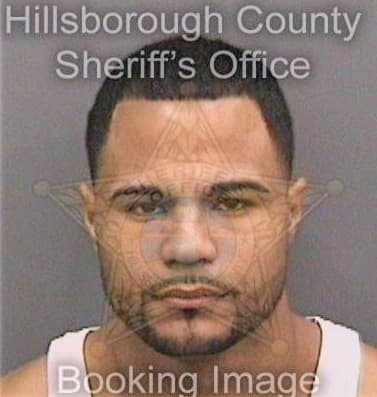 Johnpiere Christopher - Hillsborough County, FL 