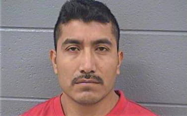 Rojas Arnolfo - Cook County, IL 