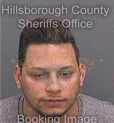 Rivera Gabriel - Hillsborough County, FL 