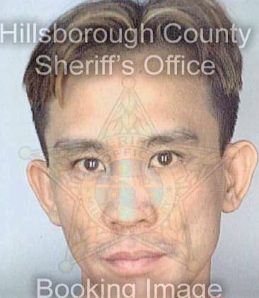 Phan Vu - Hillsborough County, FL 