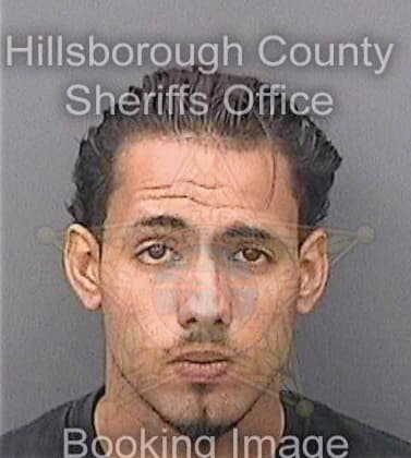 Peguero Christoper - Hillsborough County, FL 