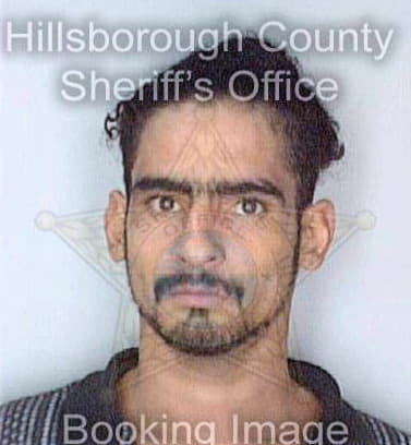 Rivera Effrans - Hillsborough County, FL 