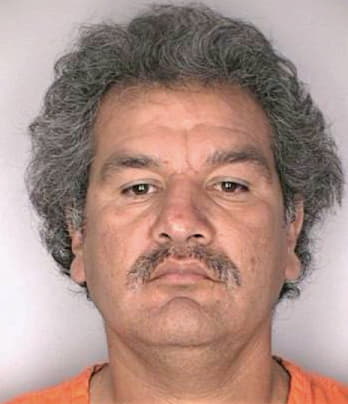 Silva Martin - Hillsborough County, FL 
