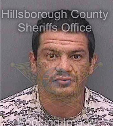 Meza Alejandro - Hillsborough County, FL 