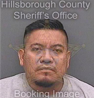 Martinez Antonio - Hillsborough County, FL 