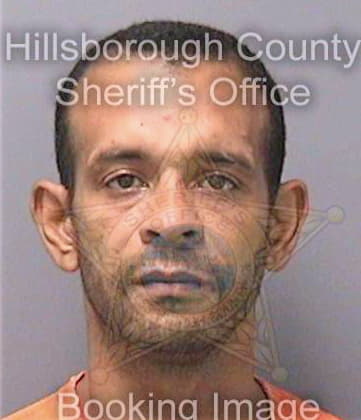 Torresdejesus Miguel - Hillsborough County, FL 