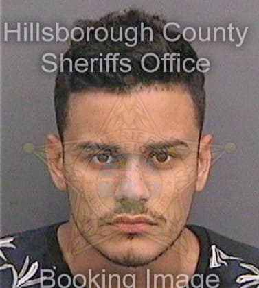 Dejesussanchez Gabriel - Hillsborough County, FL 