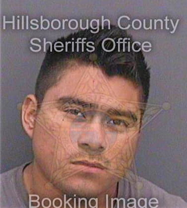 Hernandez-Hernandez Miguel - Hillsborough County, FL 