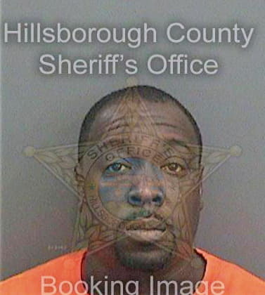 Simmons Michael - Hillsborough County, FL 