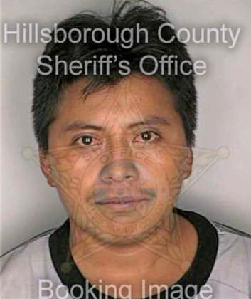 Martinez Enrique - Hillsborough County, FL 