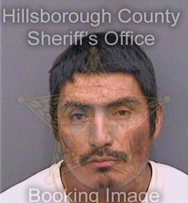 Perezsantos Martin - Hillsborough County, FL 