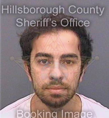 Tokdemir Sedat - Hillsborough County, FL 