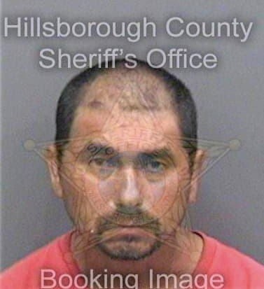 Tejada Martin - Hillsborough County, FL 