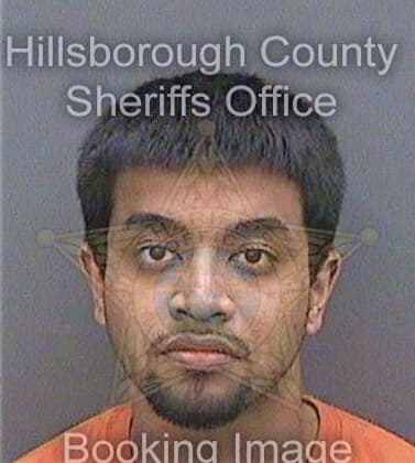 Shanker Matthew - Hillsborough County, FL 