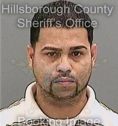 Pena Gil - Hillsborough County, FL 