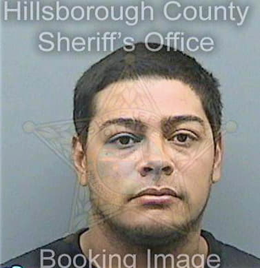 Maldonado William - Hillsborough County, FL 