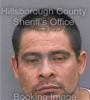 Velazquezmartinez Flavio - Hillsborough County, FL 