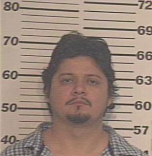 Hernandez Roberto - Hidalgo County, TX 