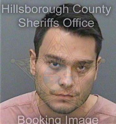 Licardie Alexandro - Hillsborough County, FL 