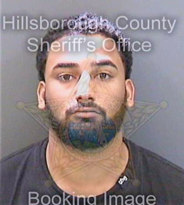 Sotohostos Erwin - Hillsborough County, FL 