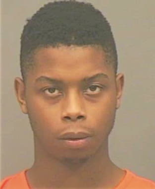 Holmes Teandre - Montgomery County, TN 