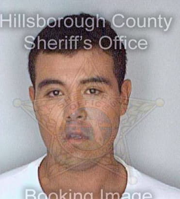 Martinez Juan - Hillsborough County, FL 