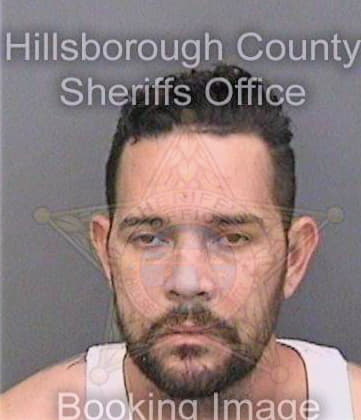 Jimenezalvarez Juan - Hillsborough County, FL 