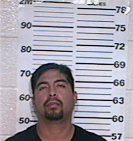 Arciniega Adrian - Hidalgo County, TX 