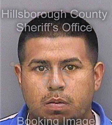 Perez Juan - Hillsborough County, FL 