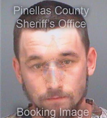 Nellis Jared - Pinellas County, FL 