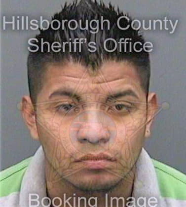 Reyesramos Ricardo - Hillsborough County, FL 