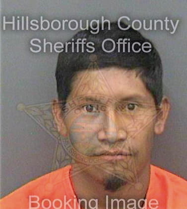 Jimenezyjimenez Ronald - Hillsborough County, FL 