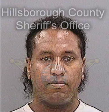 Teelucksingh Sean - Hillsborough County, FL 