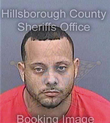 Maldonadocruz Ernesto - Hillsborough County, FL 