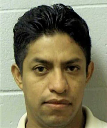 Hernandez Luis - Henry County, GA 