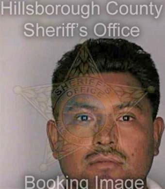 Medina Rosendo - Hillsborough County, FL 