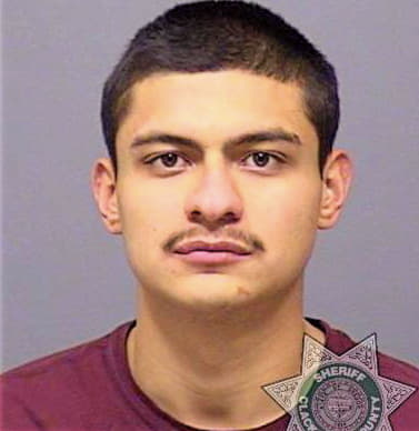 Ortegaramirez Christian - Clackamas County, OR 