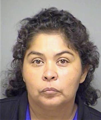 Robledo Joann - Denton County, TX 