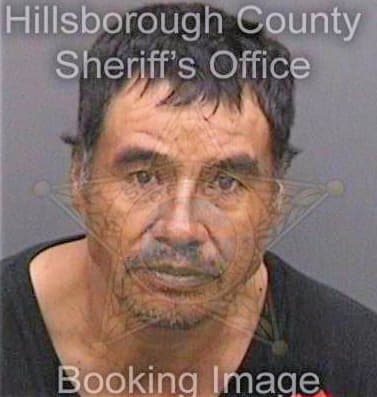 Lopezmartinez Guillermo - Hillsborough County, FL 