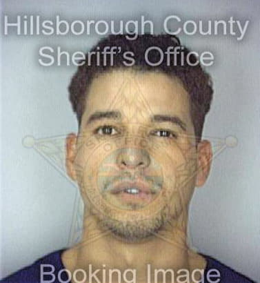 Ortiz Jose - Hillsborough County, FL 