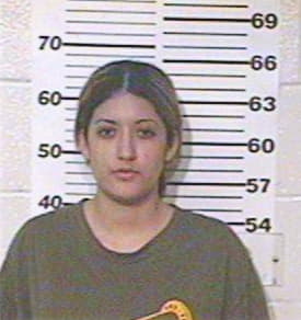 Hernandez Michelle - Hidalgo County, TX 