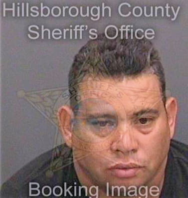 Perezgonzalez Aleyannis - Hillsborough County, FL 