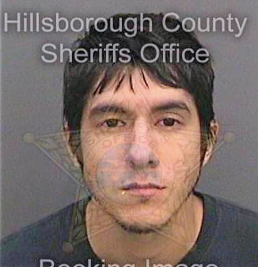 Mcfarland Evan - Hillsborough County, FL 