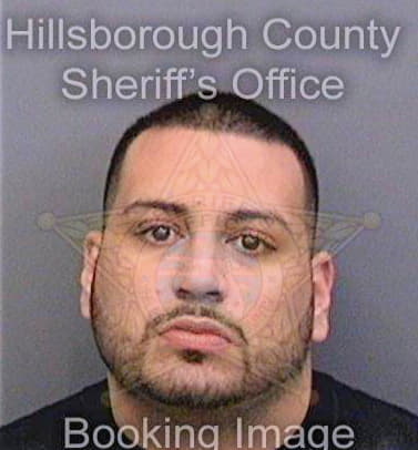 Ramirez Marcelo - Hillsborough County, FL 