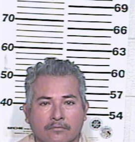 Sanchez Amando - Hidalgo County, TX 