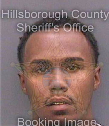 Swaney Arthur - Hillsborough County, FL 